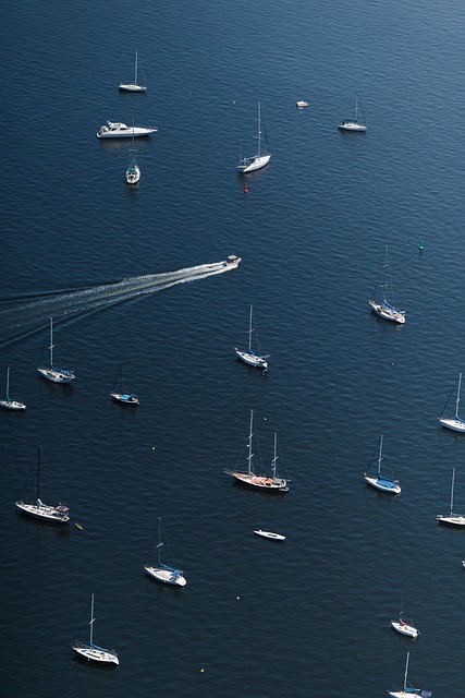 equipo editorial de Solvarenix planificando contenido de bienestar